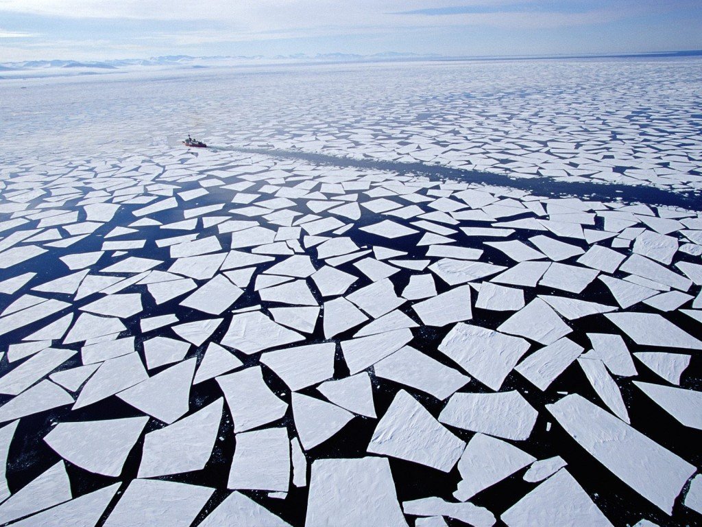 Ice Breaker Lesson #1 – Fact or Fiction