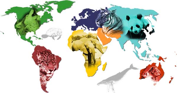 Endangered Species Science Lesson – Creating PSAs