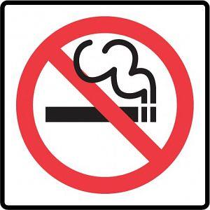 Anti-Smoking Research Task Lesson