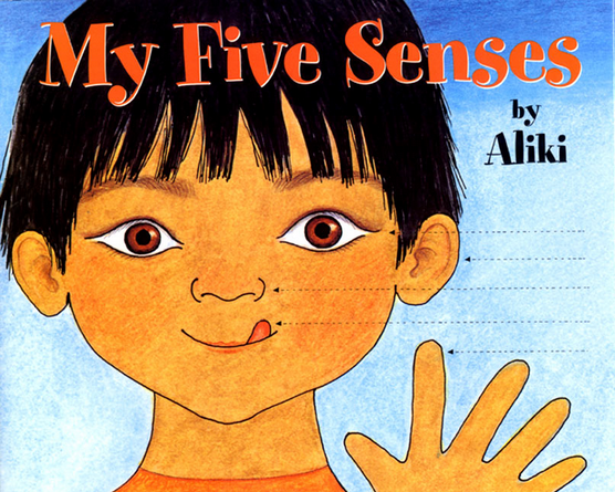 Exploring Our Senses Lesson Plan – Touch (Foundation)