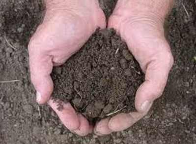 Earth Science – Soil Lesson Plan Yr 4