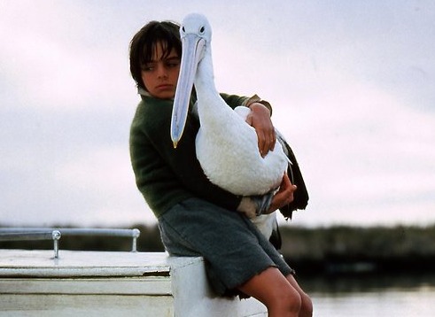 Storm Boy by Colin Theile – A Mini Unit of Lesson Plans and Activities
