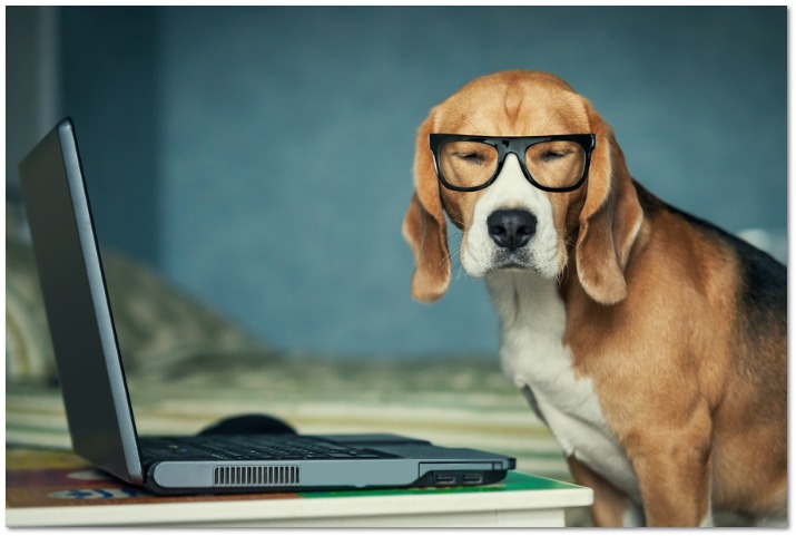 Communication Technologies English Unit Of Work: A Closer Look At The Things That Attract Us