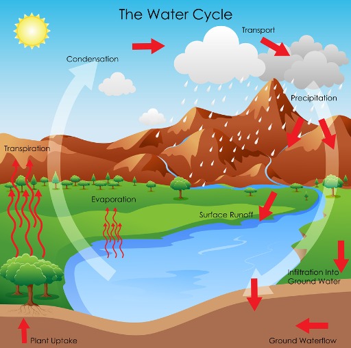 Water in Our World: A Science Unit for Grade 1/2