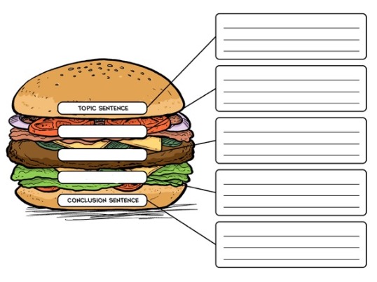 The Good Hamburger – A Writing Lesson on Creating Paragraphs