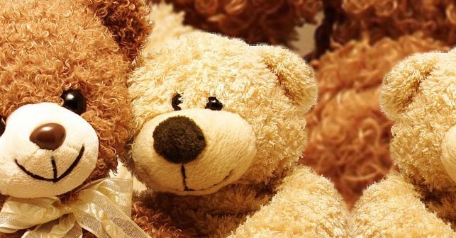 Multiplication and Division with Teddies Lesson for Grade 1/2/3