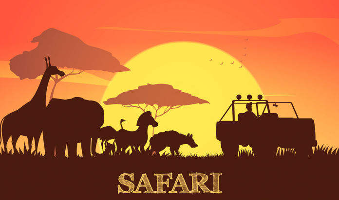 African Safari Measurements – A Lesson Plan in Converting Weight and Height Measurements